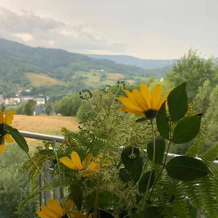 Nowy Dwupokojowy Apartament Idealny Na Narty Weichsel Exterior foto